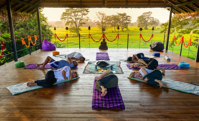 Eine Gruppe an Yogis liegt in Seitenposition in einem Kreis