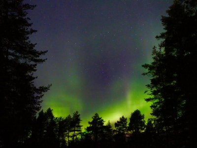 Erleben Sie mit etwas Glück die Aurora Borealis