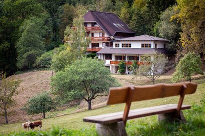 Der Blick auf das Steinweiden Retreat Center