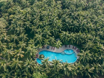 Der Pool mitten im grünen Palmengarten