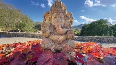 Der Ganesha thront im Garten der Finca Son Mola Vell