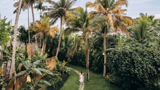 Ein Frau läuft auf einem schmalen Pfad durch eine grüne Anlage