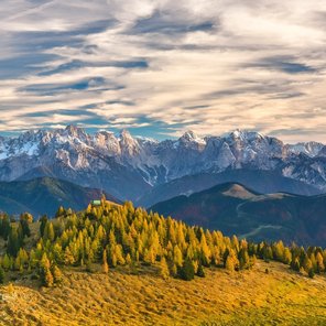 Ein herbstliches Waldstück in den Alpen bei tiefhängenden Wolken