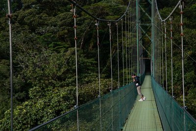 Den tropischen Regenwald bei einer Wanderung kennenlernen