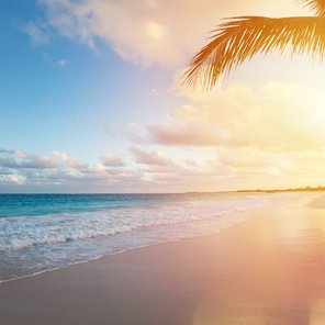 Ein Sonnenaufgang an einem tropischen Strand