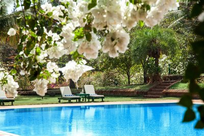 Entspannte Zeit am Pool