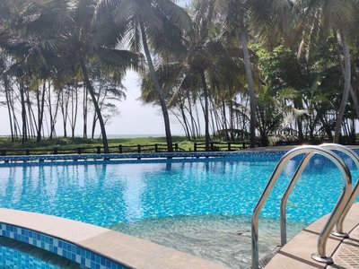 Kühlen Sie sich im Pool zwischen den Palmen ab