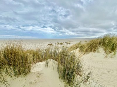 Der weite Blick auf das Meer und die Stille der Dünen