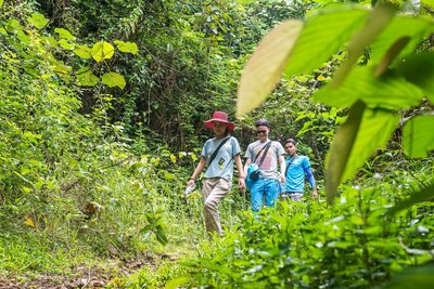 Die untouristische Insel ist perfekt für Jungle Treks 