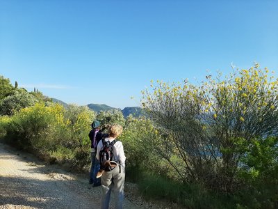 Wanderungen am Meer entlang begeistern mit tollen Ausblicken.