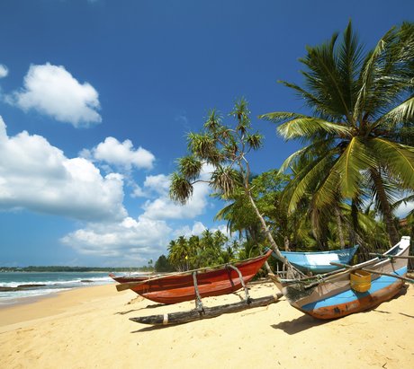 Kurz vor dem Meer eines Strandes stehen drei Boote unter den Palmen