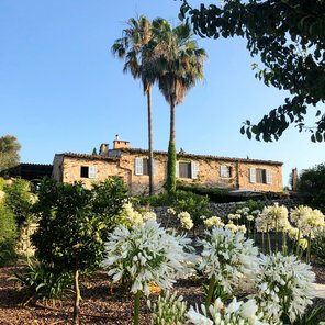 Yoga Finca Son Mola Vell mit weißen Blumen im Vordergrund