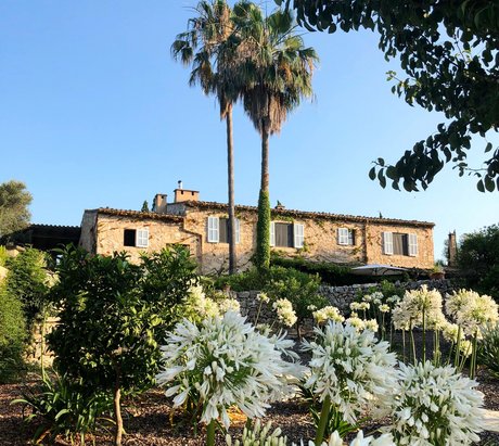 Yoga Finca Son Mola Vell mit weißen Blumen im Vordergrund