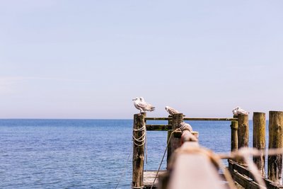 Lassen Sie Ihre Seele baumeln bei einer Yogareise an die Ostsee!