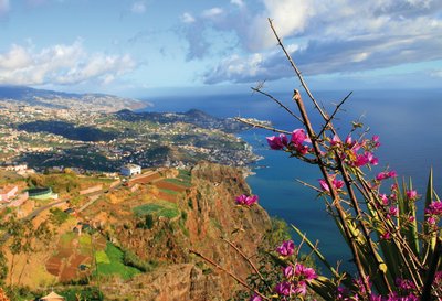 Blick über Funchal