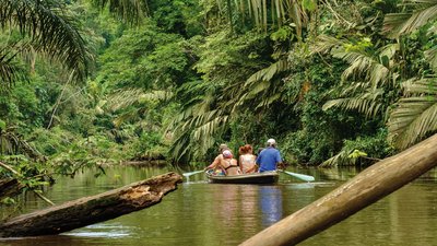 Bootsfahrt durch den Tortuguero Nationalpark