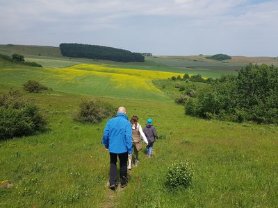 Auf einer Wanderung lernen Sie die schöne Halbinsel Mönchgut kennen!
