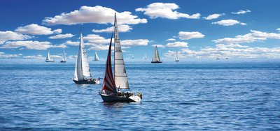 Bodensee Panorama