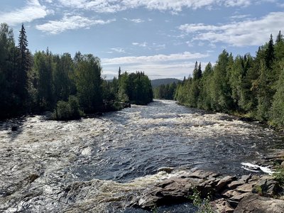 Lappland bei einer Wanderung im Sommer entdecken