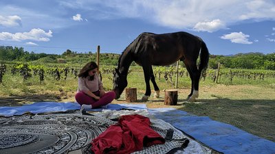 Ruhe und Ausgeglichenheit bei einer Pferde Meditation finden