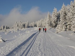Schneebedeckter Landschaft
