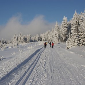 Schneebedeckter Landschaft