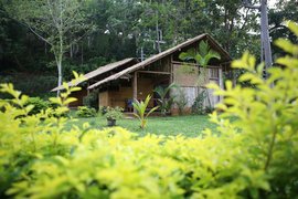 Eingebettet in das zarte Grün der Umgebung liegen Zimmer der Kategorie Bamboo Hut