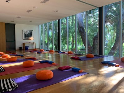 Großer Yogaraum mit Blick ins Grüne