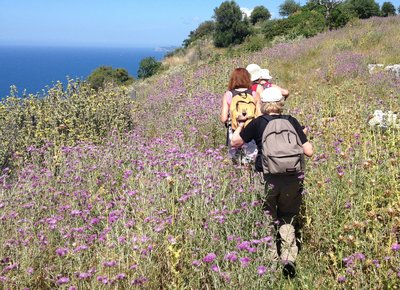 Wandern Sie entlang der griechischen Küste durch das Epirus Gebirge und erkunden Sie Griechenland bei ausgiebigen Wanderungen