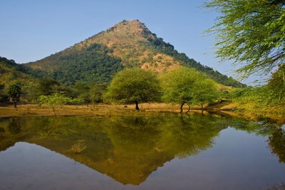 Tiruvannamalai Arunachala 