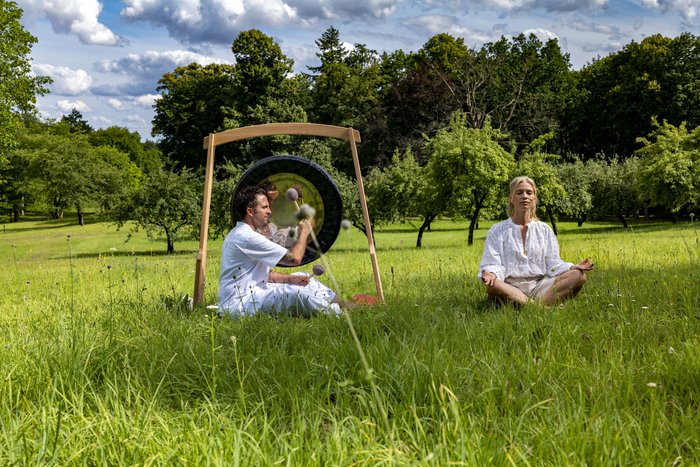 Gong auf der Wiese