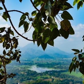 Blätter und Blick auf eine Landschaft mit Bergen und See