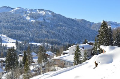 Direkt vom Bio-Berghotel Ifenblick erreichen Sie wundervolle Wanderwege