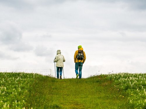 Auf der Halbinsel Mönchsgut können Sie lange Spaziergänge und Wanderungen unternehmen. 