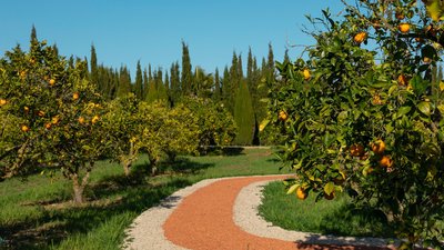 Die Anlage der Finca ist von duftenden Orangen gesäumt