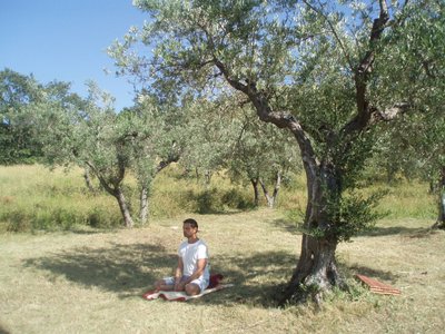 Meditation im Garten des Landhauses Lucerna