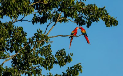 Die bunte Tierwelt bestaunen