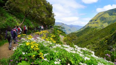 Levada Wanderung auf Madeira durch eine blühende Landschaft