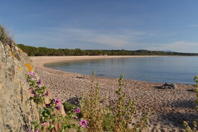 Unberührte Natur am Strand von Torre di Bari