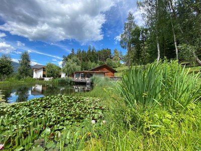 Die wunderschöne Anlage des Hotel Saalerwirts