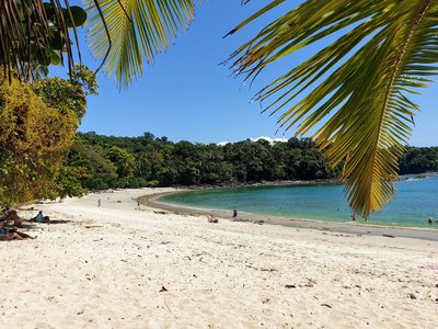 Im Schatten der Palmen am Strand entspannen