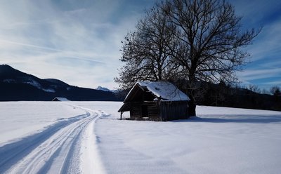 Herrliche Schneelandschaften in den bayerischen Alpen