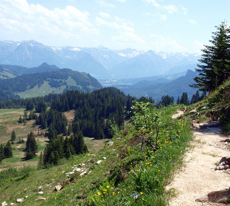 Ein schmaler Weg führt durch ein grünes blühendes Tal in Richtung Berge
