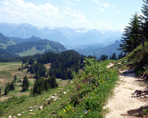 Ein schmaler Weg führt durch ein grünes blühendes Tal in Richtung Berge