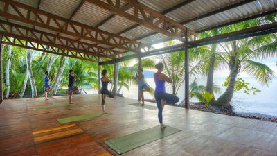Machen Sie Yoga in der Gruppe umgeben von Palmen mit direktem Meerblick