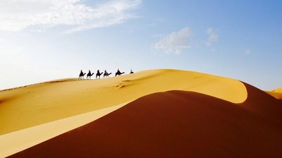 Mit den Kamelen durch die Wüste Sahara ziehen