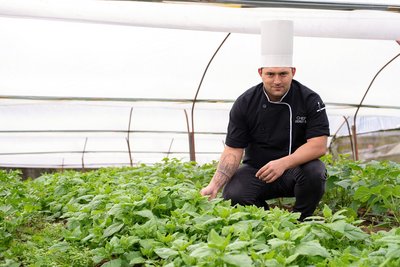 Im Buena Vista Chic wird das Gemüse selbst angebaut