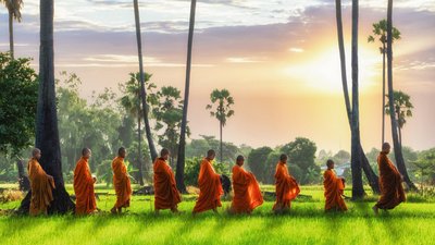 Buddhistische Möche in den grünen Reisterassen in Thailand