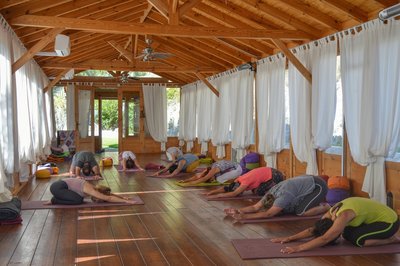 Tanken Sie Energie bei wohltuenden Yoga-Einheiten!