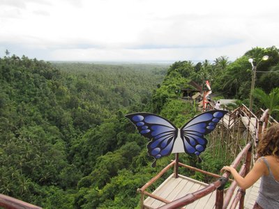 Ausflug mit Ausblick über den üppigen Jungle Balis an der Green Cliff